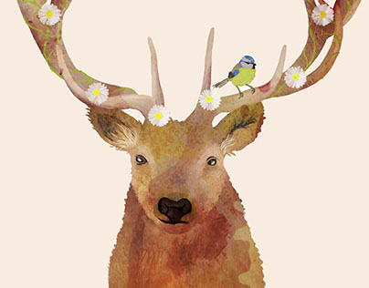 Animal Illustrations - Stag & Fox