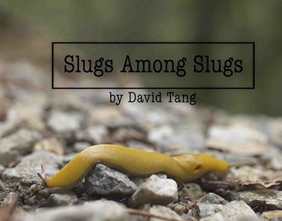 Slugs Among Slugs