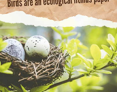Birds are an ecological litmus paper
