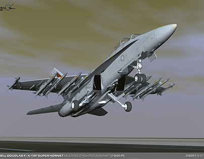 McDonnell Douglas F/A-18F Super Hornet Fighter Aircraft