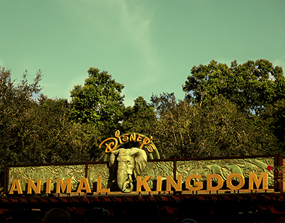 Animal Kingdom Park