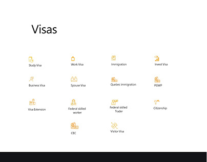 web design for visa consultation
