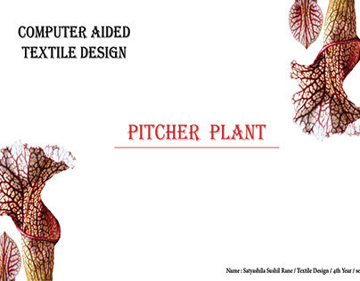 CAD Pitcher Plant