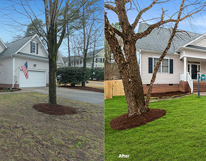 Lawn Photo Editing Services