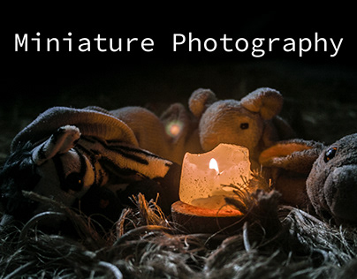 Project thumbnail - Miniature Photography
