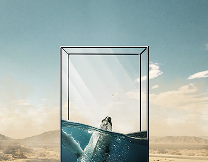 Whale Stuck in Glass