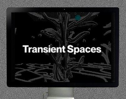 Transient Spaces