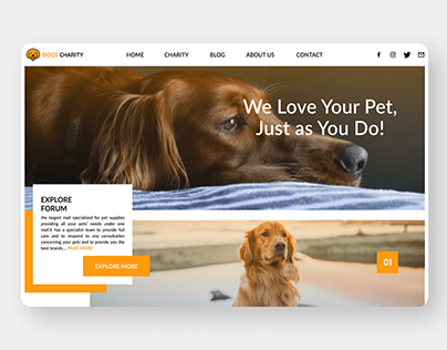 Pet Food and Accessories Website | UIUX Design