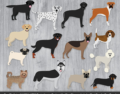 Dog Breed Illustration Series
