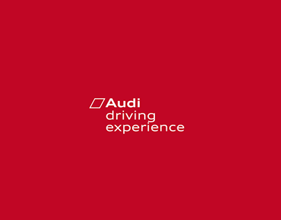 Audi Driving Experience // Gráficas