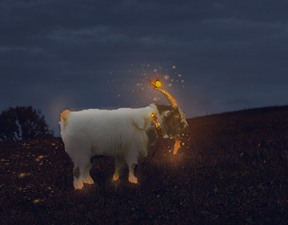 Glowing Sheep ( Manipulation )