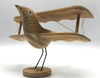 Pájaro biplano / Biplane Bird