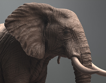 African Elephant Sculpture
