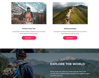 Travel website with elementor pro