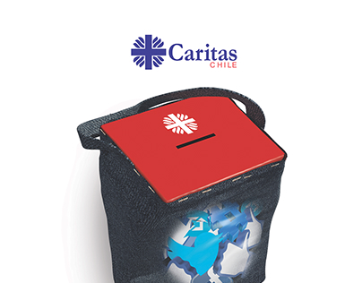 Licitación Caritas Chile 2015