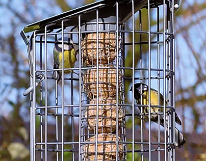 Eco Squirrel Proof Suet Feeder – Ecobird