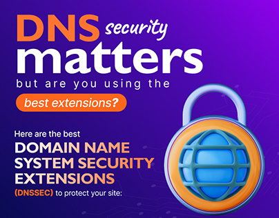 Best Domain Name System Security Extensions