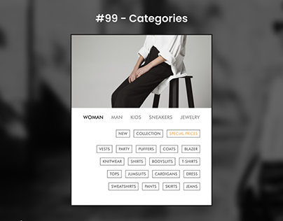 Daily Ui 99 - Categories