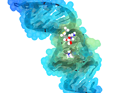 Small Molecule DNA binding