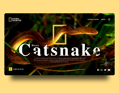 National Geographic Web Design
