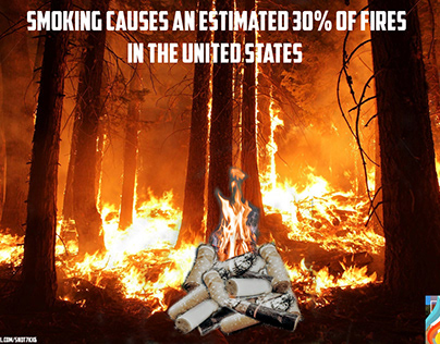 PSA wildfires