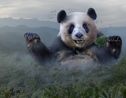 Giant Panda Photo Manipulation