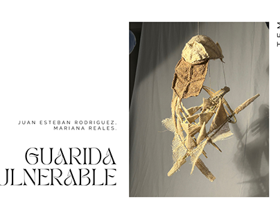 Guarida vulnerable- Proyecto TEM