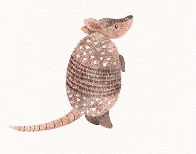 Armadillo Character Design and Illustration
