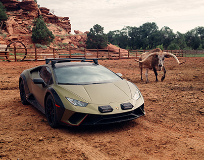Lamborghini Sterrato: Bull VS Bull