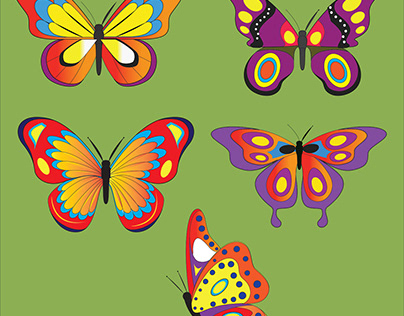 Butterfly Vector Illustration.