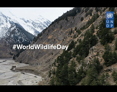 World Wildlife Day - UNDP India