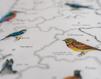 Portugal birds map