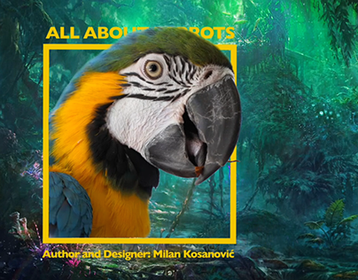 All About Parrots - Interactive Book
