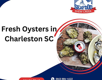 Get the Fresh Oysters in Charleston, SC
