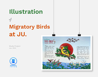 Illustration: Migratory Birds at JU.