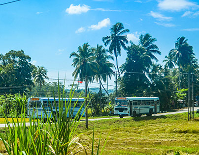Sri Lanka, South Coast