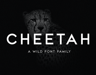 CHEETAH - Sans Serif Font Family