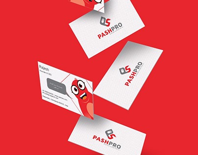 Pashpro, Logo Presentation & Branding!