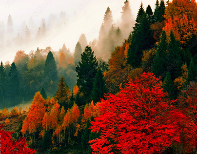 autumn in Carpathians