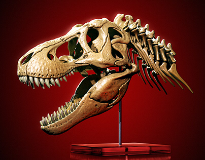 T. rex dinosaur - Tyrannosaurus skull and neck