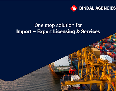 Bindal Agencies (P) Limited | Presentation deck