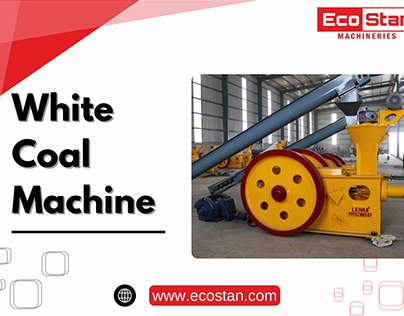 Advanced Biomass White Coal Machine