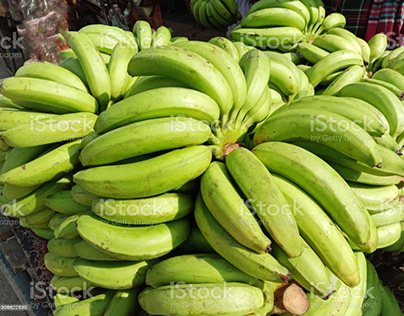raw banana bunch stock