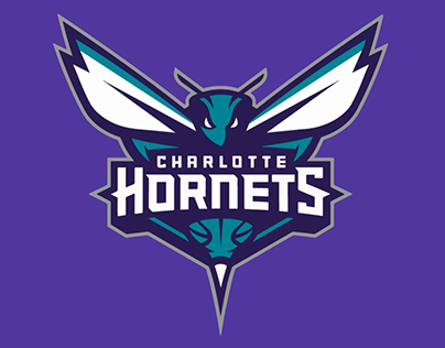 Charlotte Hornets Instagram loop