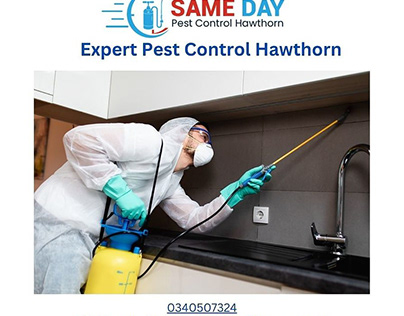 The Ultimate Guide to Pest Control in Hawthorn