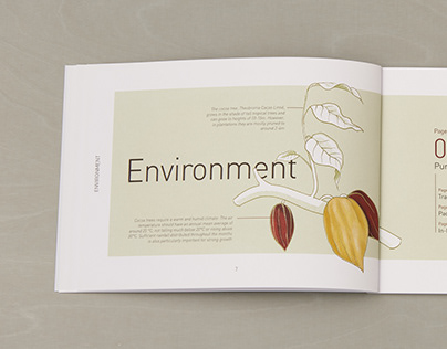 Sustainability Report for a Chocolate Factory
