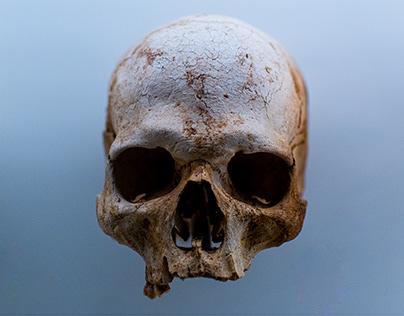 Just a Human Skull