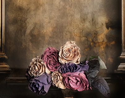 The vintage rose collection