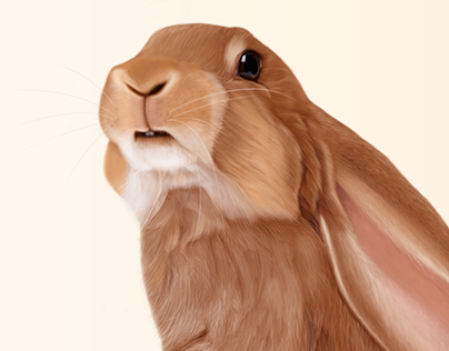 hare - digital illustration