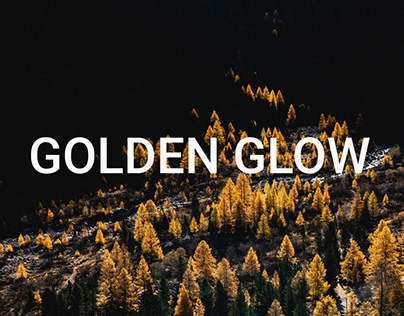 Golden Glow
